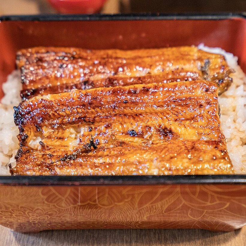 Grilled eel (unagi)